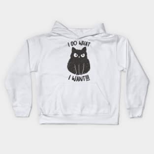 I do what i want Kids Hoodie